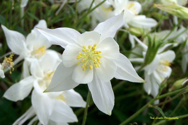 2008 staff conference_01