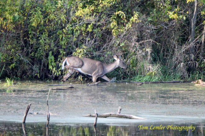 Potato Creek 048.jpg