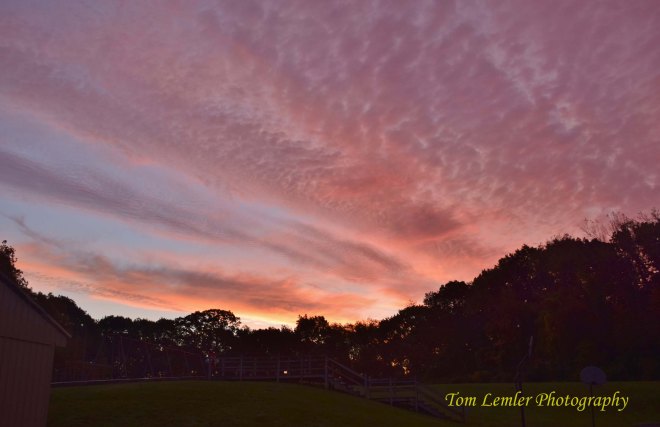 deer-run-sunrise-001