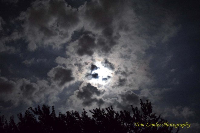 Full Moon 024.jpg
