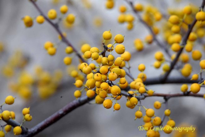 Lake Michigan 151.jpg