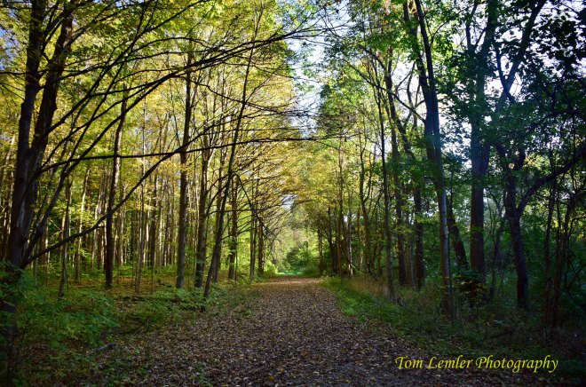 Potato Creek 024.jpg