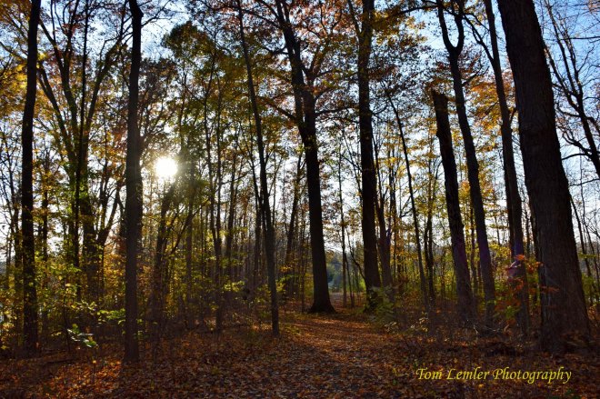 Potato Creek 010.jpg