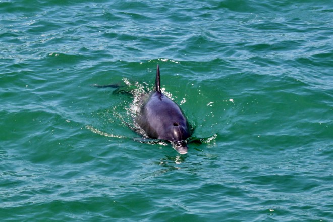 Florida May 2013 012.JPG