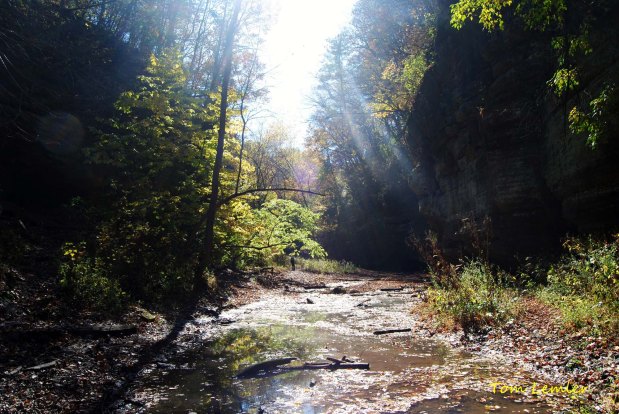 Living As CLEAN (Sermon&nbsp;Audio)