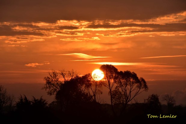 What Kind of KING? (Sermon&nbsp;Audio)