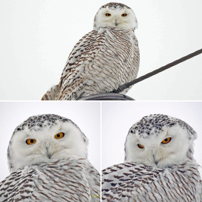 ae19d37d-0ca8-4fb6-8e72-6d0abf0940be