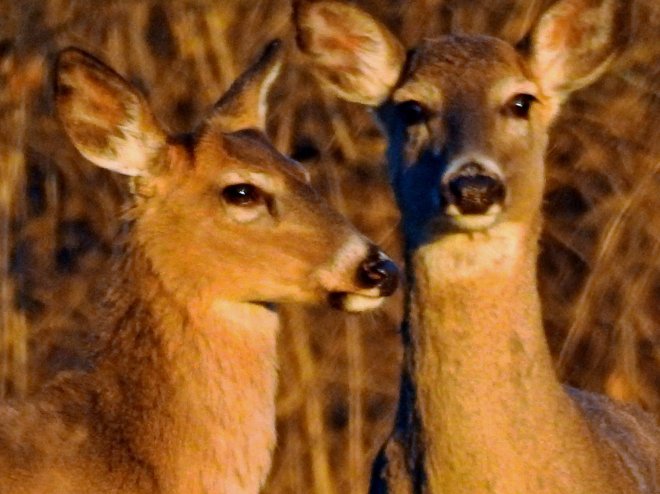 28516418_10214352067890980_3618873785656036635_o