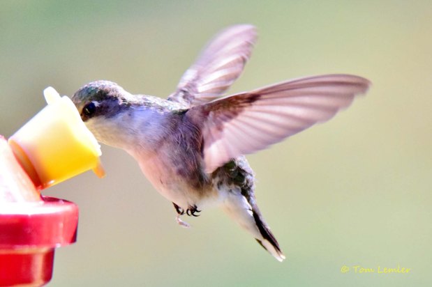 Noticing God’s Presence