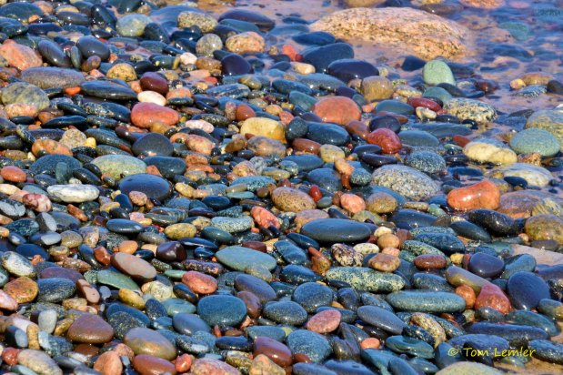 Living As ONE! (Sermon&nbsp;Audio)