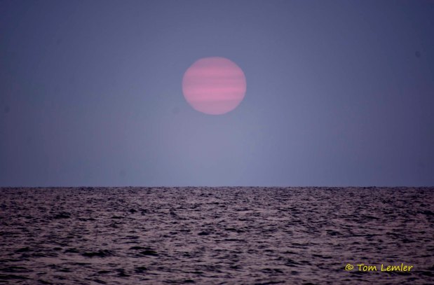 A SIMPLE Witness! (Sermon&nbsp;Audio)