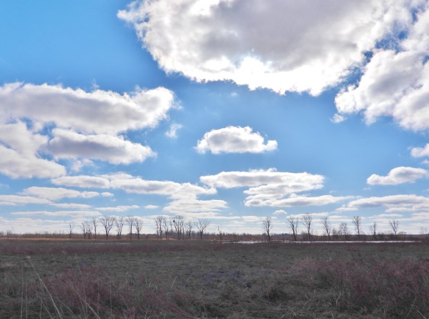 The Best Monday I’ve Had All&nbsp;Week!