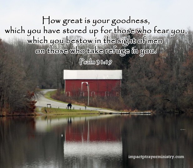 Giving Thanks — November&nbsp;26