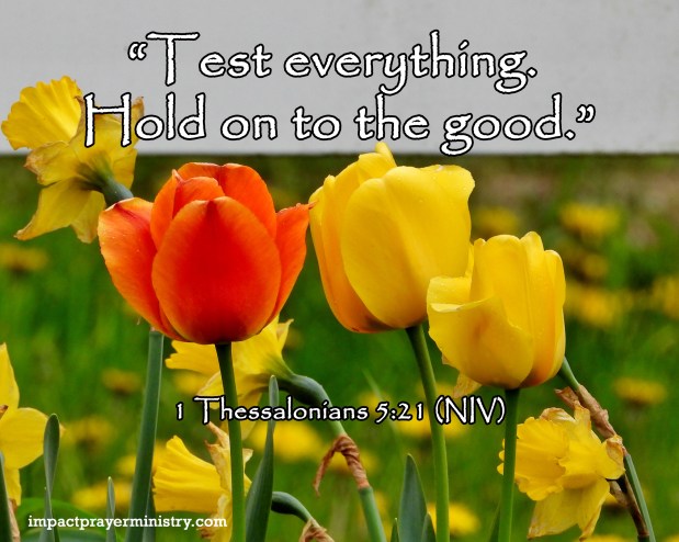 Holding On and Letting Go:  Hold On To What Is&nbsp;Good