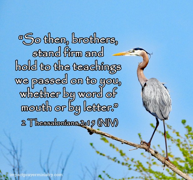 Holding On and Letting Go:  Hold On To Sound&nbsp;Teaching