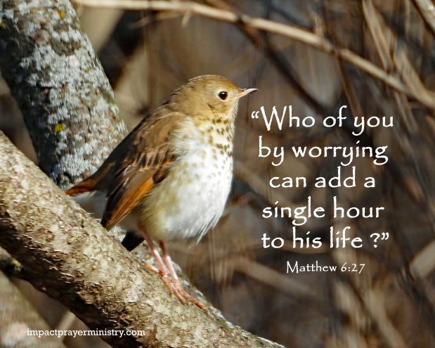 Holding On and Letting Go:  Let Go of Things You Can’t&nbsp;Control