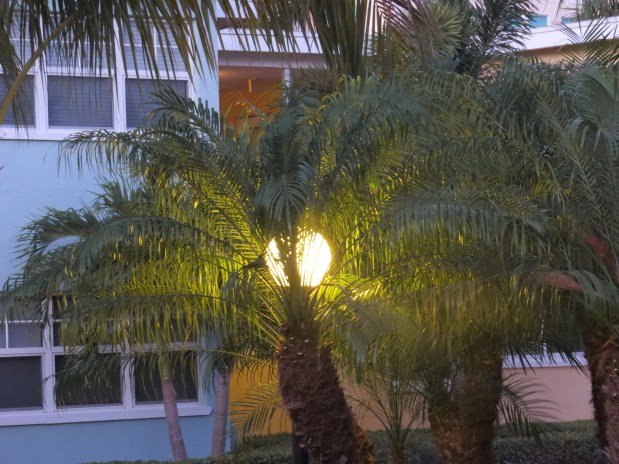 Laying Down Your PALMS! (Sermon&nbsp;Video)