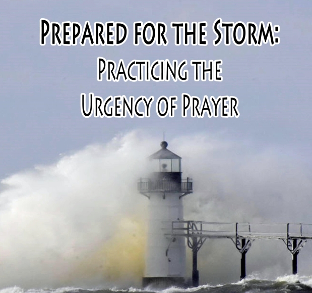Prepared For the Storms: Session Three (GROW)
