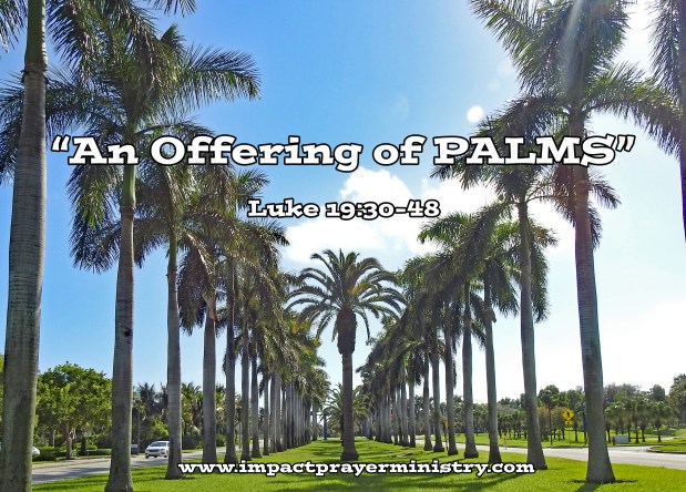 An Offering of PALMS! (Sermon&nbsp;Audio)