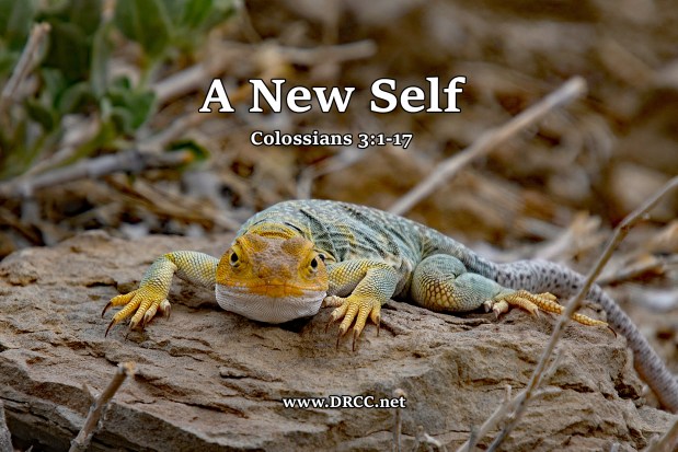 A New SELF! (Sermon&nbsp;Audio)
