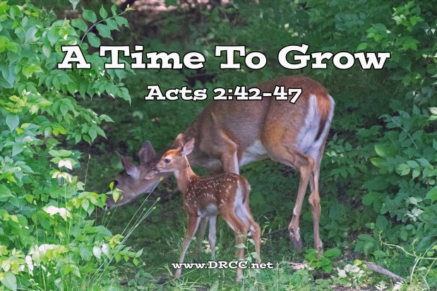 A Time to GROW! (Sermon&nbsp;Audio)