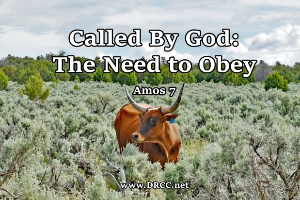 Called By God: The Need to OBEY! (Sermon&nbsp;Audio)