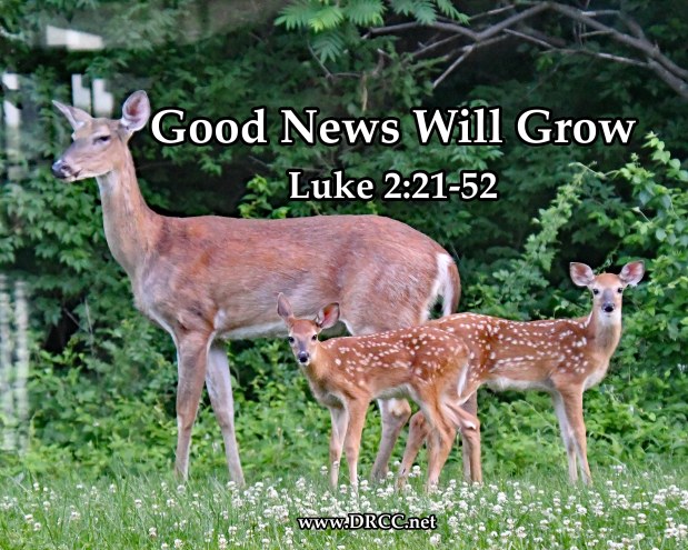 Good News of Christmas: Good News Must GROW! (Sermon&nbsp;Audio)