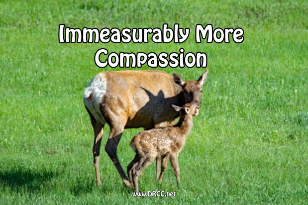 Immeasurably More Compassion: A Time To CARE! (Sermon&nbsp;Audio)