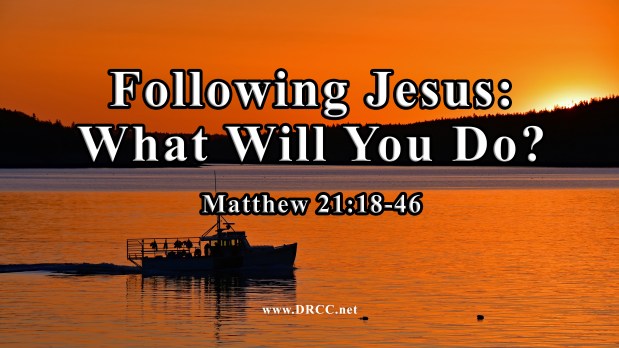 Following Jesus – What Will You DO? (Sermon&nbsp;Audio)