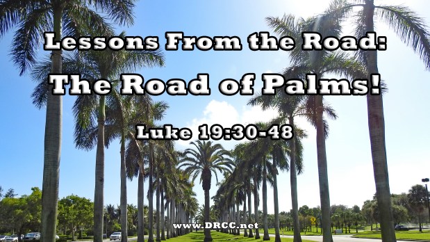 Lessons From the Road: The Road of PALMS! (Sermon&nbsp;Audio)